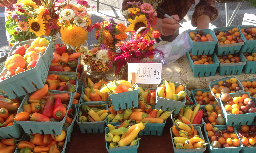 St Petersburg Saturday Morning Market | Florida Farmers Market Toolkit